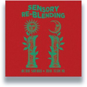 Aura Safari - Sensory Re-Blending  12-INCH SINGLE